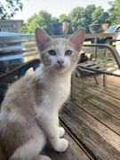 6D9DFEC9-E6CD-4AE2-96B0-FC647C35E8E7