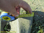 IMG-1720