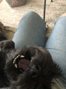 79707ABA-C929-4BBF-8E59-9DCA482076EB