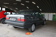 IMG-0833