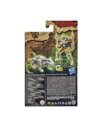 TF-Kingdom-Official-Pics-024