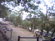 picture-0020_27057879568_o