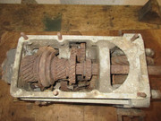 IMG-6518.jpg