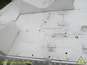IMG-7619
