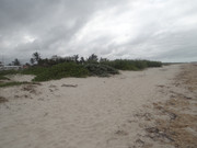 DSC00489