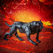 F0681-PROD-TRA-SHADOWPANTHER-0006