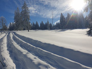 20241224-135410.jpg