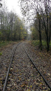 S9960044