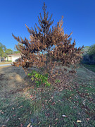IMG-1755