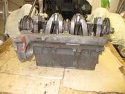 IMG-4897.jpg