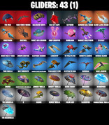 gliders-comp