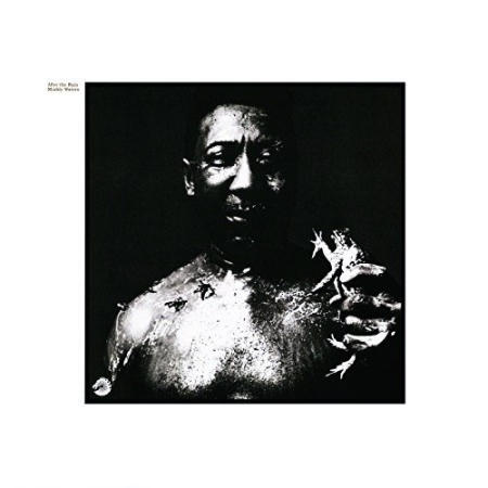 Muddy Waters - After The Rain (1969) [FLAC]