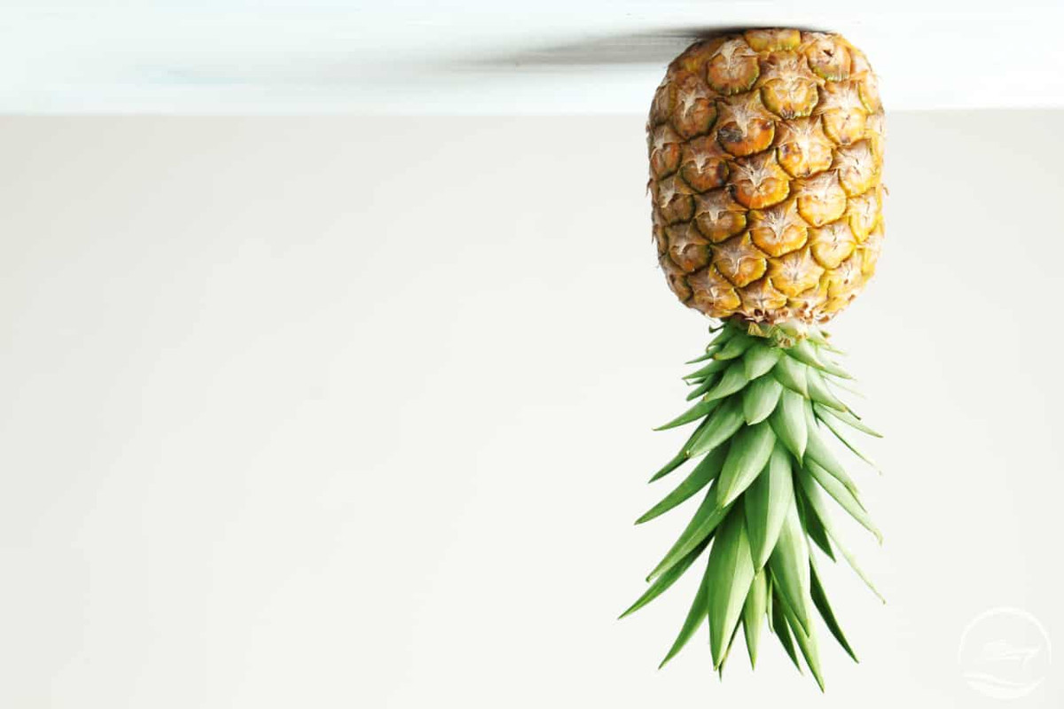 upside-down-pineapple-meaning