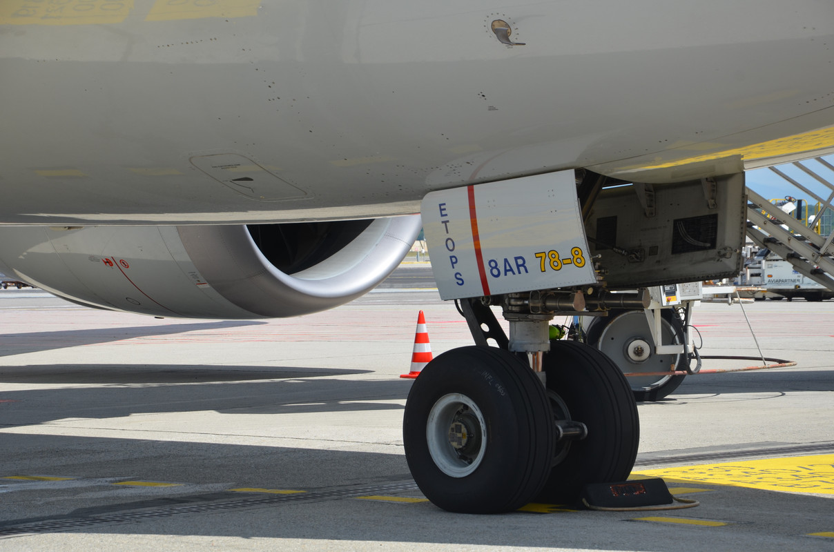 American MXP-PHL (14)