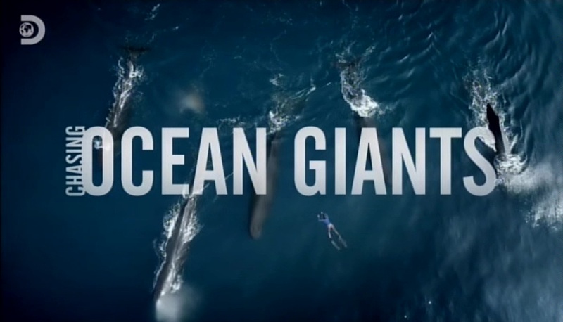 Honba za obry oceánů / Chasing Ocean Giants (2020) / CZ