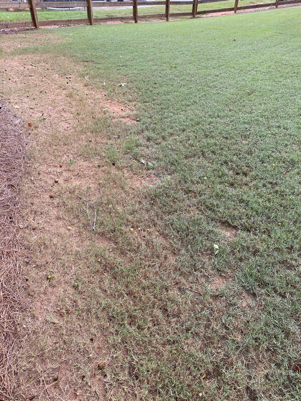 1E4E6849-1FB2-4D66-A44C-6DE74B2CF915