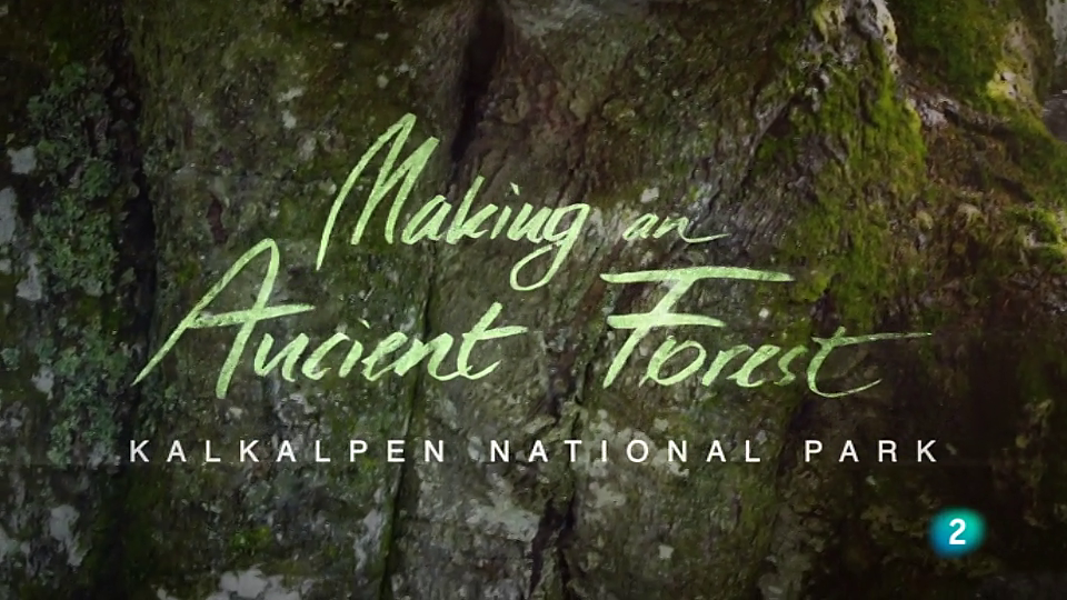 La creación de un bosque virgen: El Parque Nacional Kalkalpe