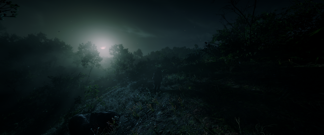 Red-Dead-Redemption-2-2022-12-05-20-51-1