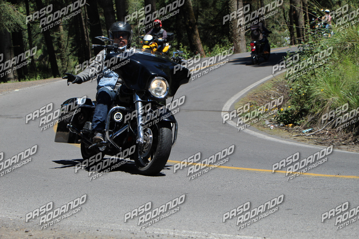 IMG 5989 wm 17866041 8 watermarked — Postimages