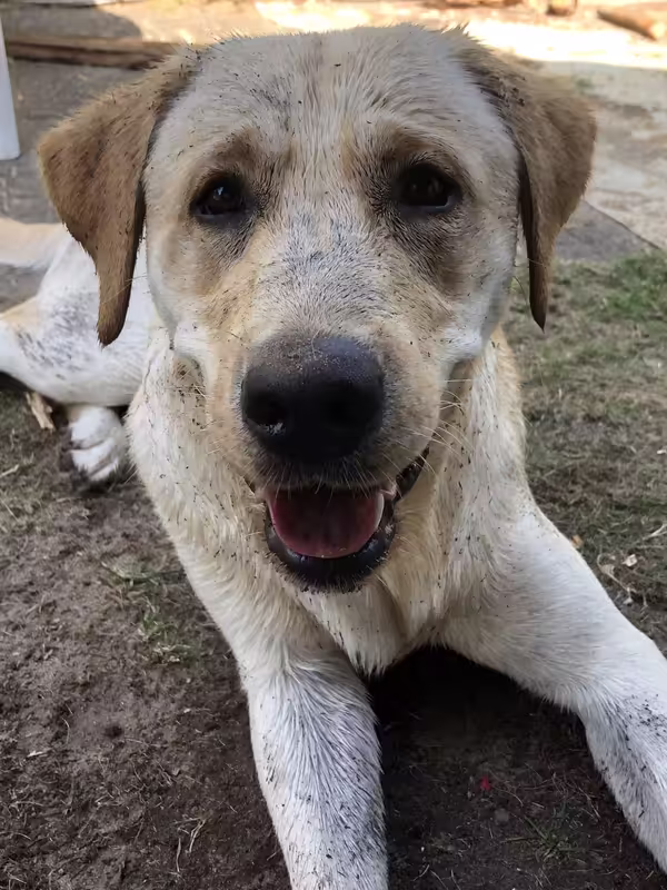 691466FA-F9D1-41CF-9CC9-8B5BDB87CAAF