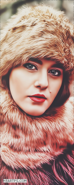 ���� ���� ������ �� ���� ������