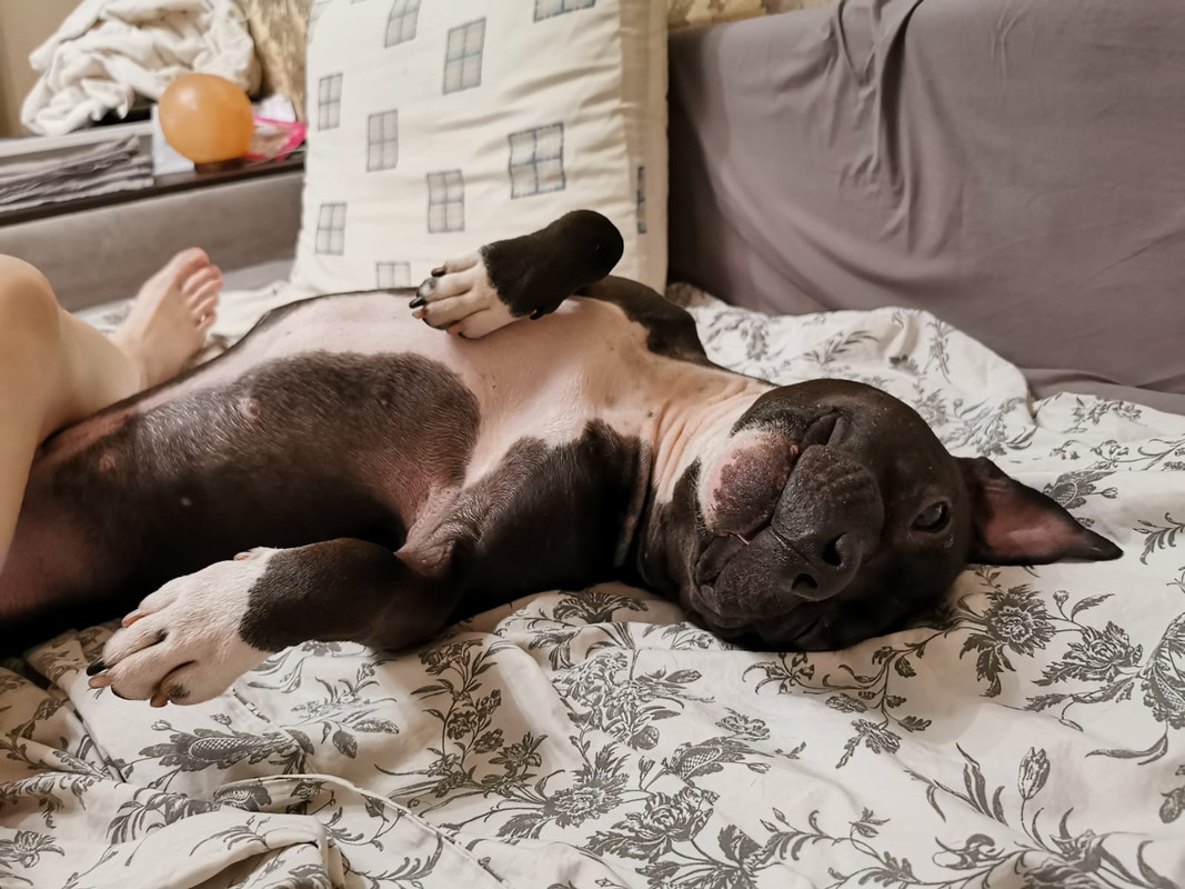 E26CBA52-3201-4688-8475-F322BE31D2E3