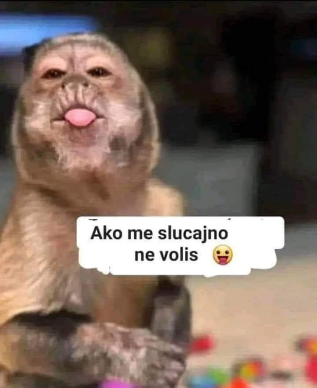 FB_IMG_1717704967091