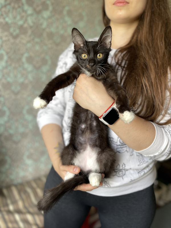 26CF82A5-AF2B-431A-AE1A-EF3553A751D9