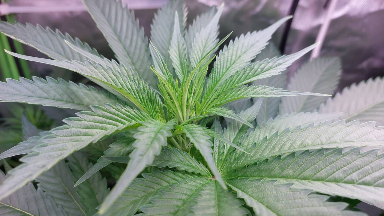 C8F4911F-04CC-4019-97EE-CFF15181D87B