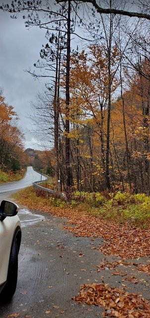 [Image: 20231021NY73ScenicByway.jpg]
