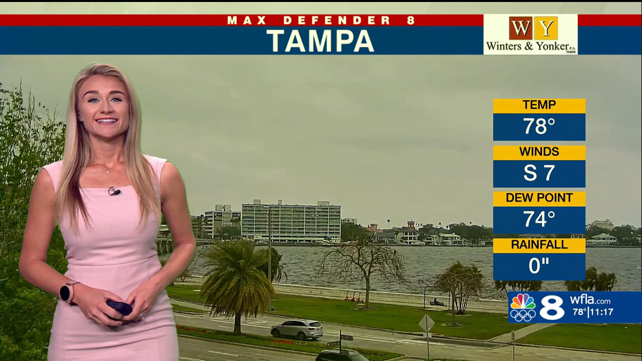 NewsChannel 8 at 11AM_20240403_16001700.ts_snapshot_18.38.019