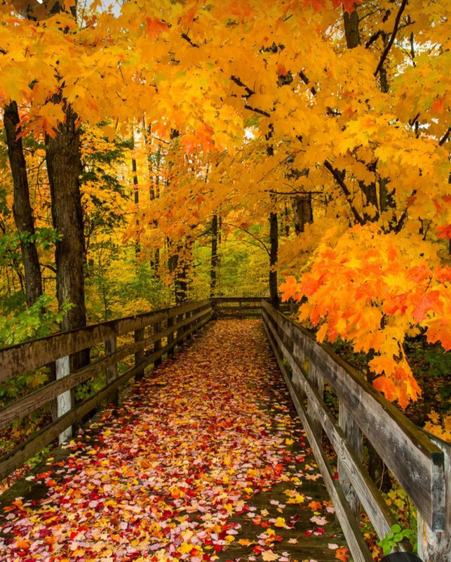 Screenshot_20231220_112541_Pinterest