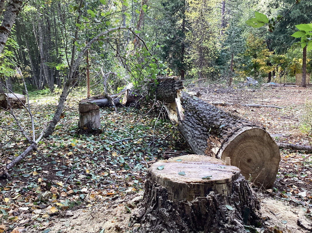 89C08F65-C1A5-4300-8C3E-936A56C6BB55