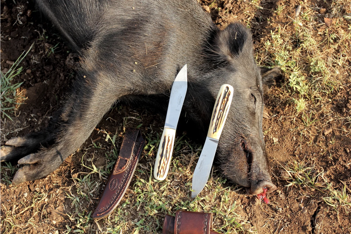 Screen Shot 2025-01-19 at 4.40.35 PM