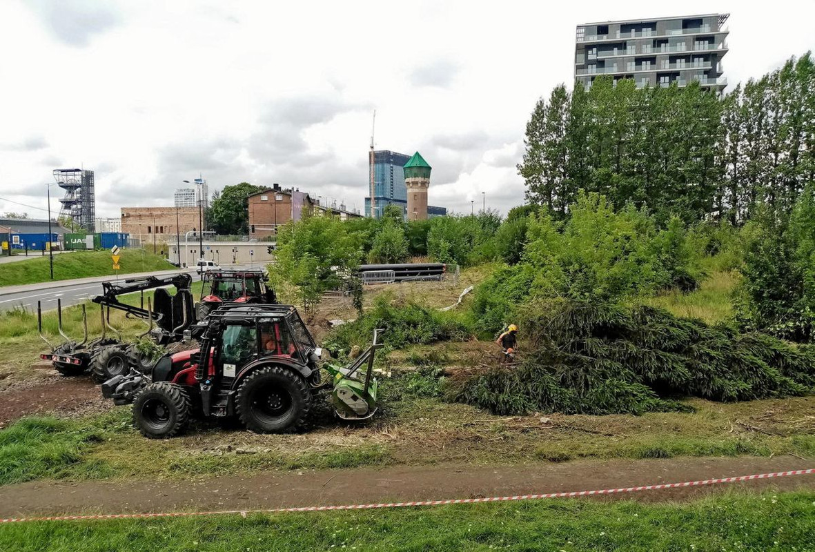 z28679689IHG,W-Bogucicach-wycieto-kilkadziesiat-drzew