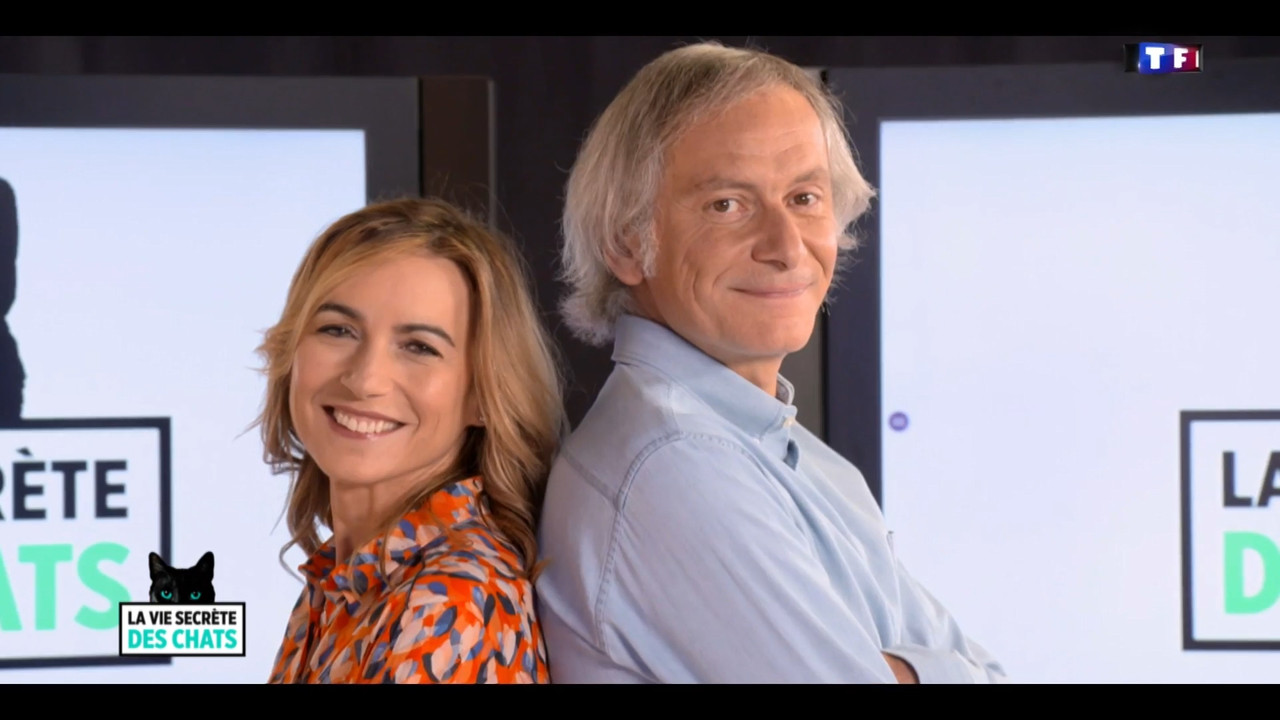 2020-05-30_10_35_TF1_La-vie-secrete-des-chats_Chats-et-sentiments-avec-Charlotte-Valan.mp4_snapshot_