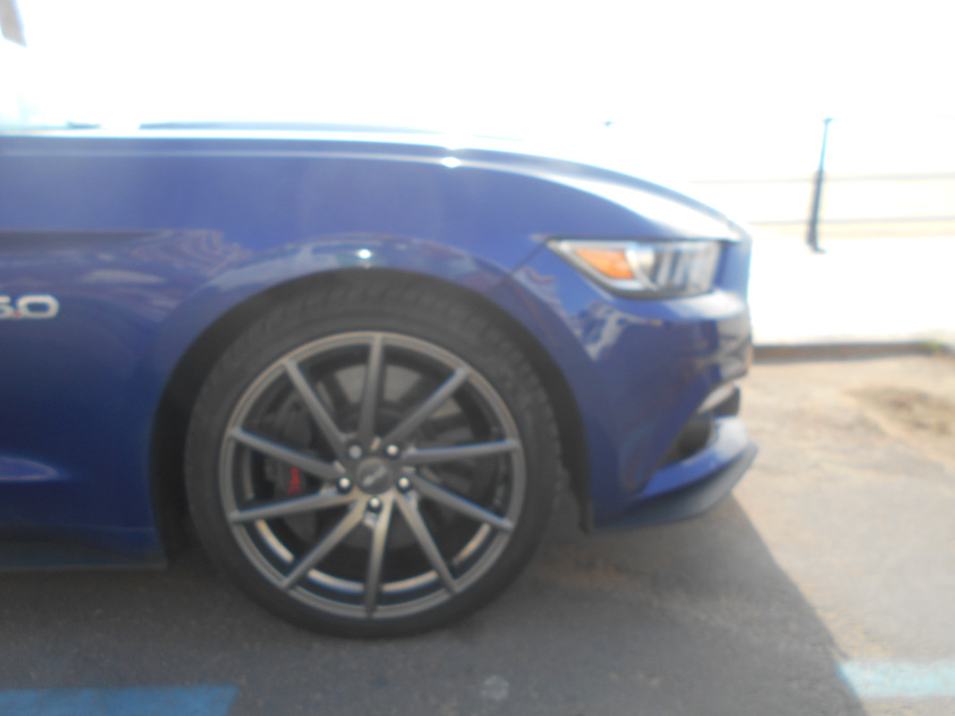 DSCN2395.jpg