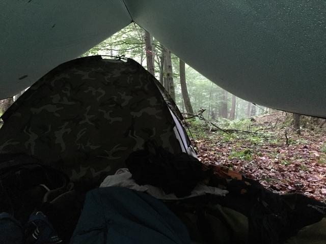 IMG-2313.jpg