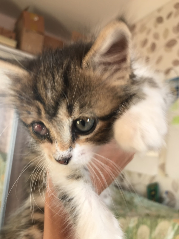 22F990D0-5CAA-4BE3-BEA5-5B841F580907