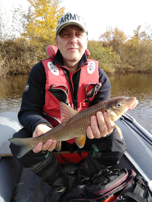 Амуртаймень. Амуртаймень. Амуртаймень. Амур таймень китайский турист. Хандеев баир.