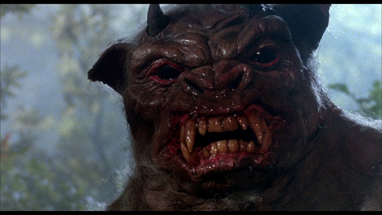 vlcsnap 2026 03 31 16h08m02s213