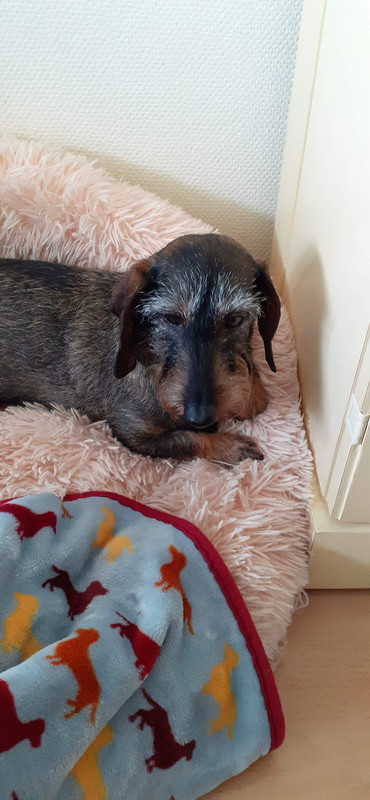 [Image: 20240531-133624.jpg]