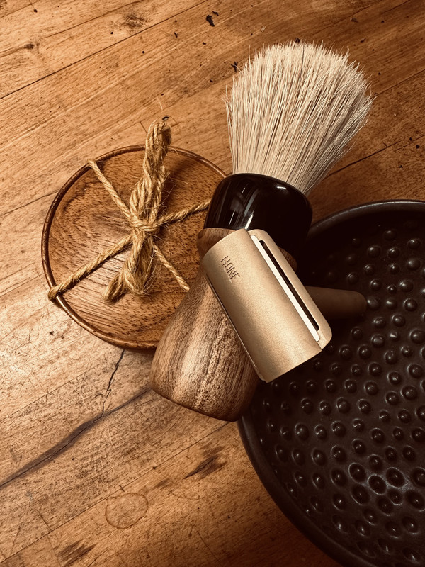 SOTD 20231107