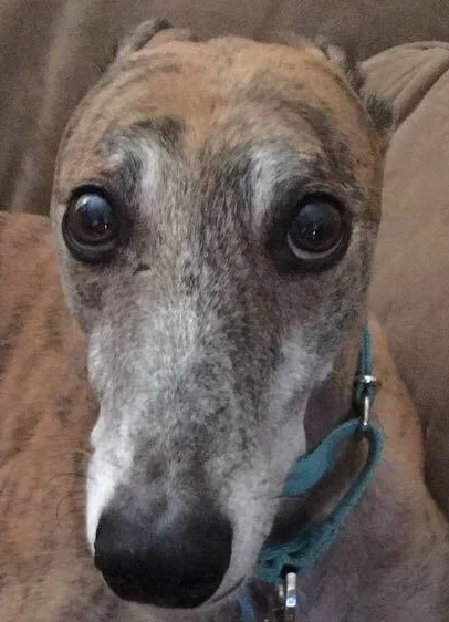 [Image: 2v7se2qjie001-jpg.png]