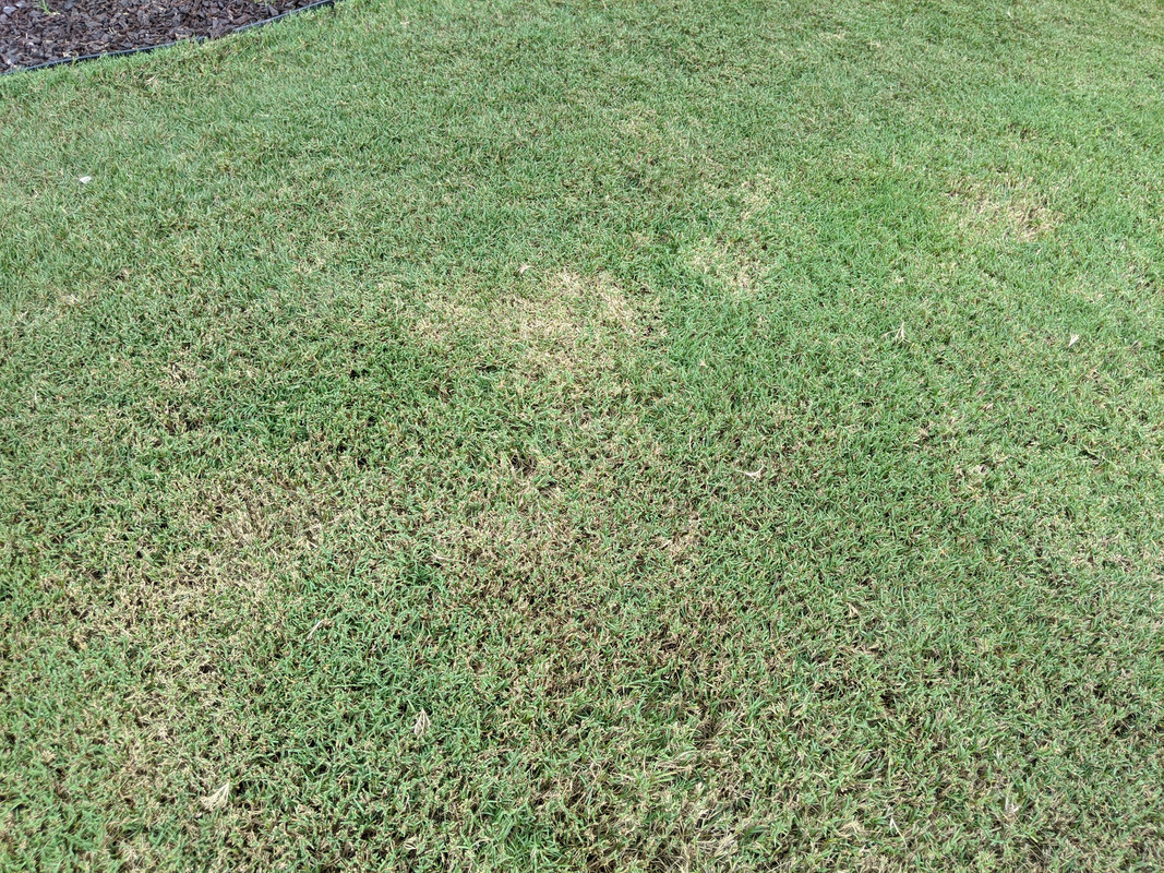 MVIMG_20200729_162239