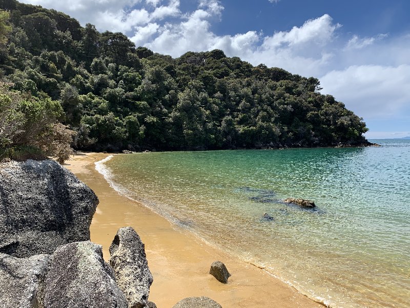 Abel Tasman-Motueka - Nueva Zelanda: La primavera Kiwi nos fue marcando la ruta (5)