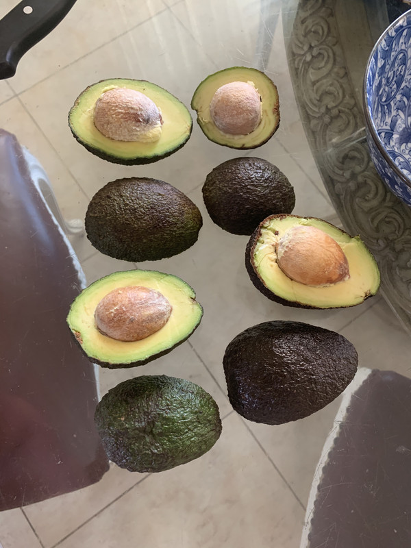 03E00008-96E7-40EE-8E78-A63662684230