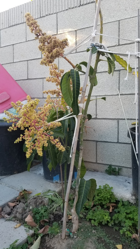 20190412_183432