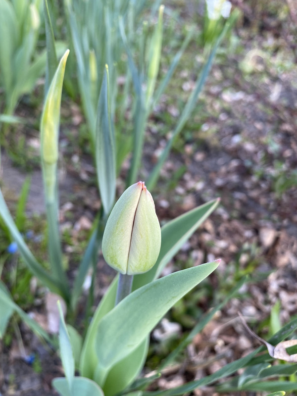 DF73394F-CD9E-4BB4-BCA7-812C12642115