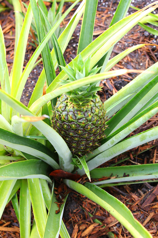 858C033B-B9B7-49FF-B1A0-E6575D763C59